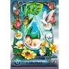 Vanduo Alchemy Oracle kortos Findhorn Press
