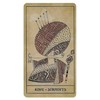 Taro Kortos Tarot Of Light And Shadow Watkins Publishing