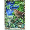 The Celtic Tree Oracle kortos Welbeck Publishing