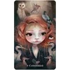 US Games Systems Wisdom Of The Wild Things Orakulo Kortos