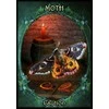 Solarus Witches Familiars Oracle Kortos