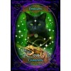 Witches Wisdom Oracle Kortos Solarus