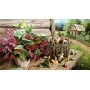 Wizardi Deimantinis paveikslas A great harvest 70*40 cm WD2669