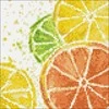 Wizardi Deimantinis paveikslas Citrus Mix WD289 20*20 cm