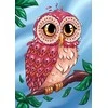 Wizardi Deimantinis paveikslas Colourful Owl WD2491