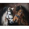 Wizardi Deimantinis paveikslas Horse Tenderness 48X38cm WD2469