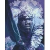 Wizardi Deimantinis paveikslas King of Africa WD144 38*48 cm