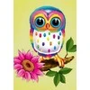 Wizardi Deimantinis paveikslas Owl Maia WD248 20*30 cm