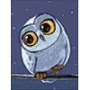 Wizardi Deimantinis paveikslas Owlet WD278 15*20 cm