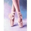Wizardi Deimantinis paveikslas Pointe shoes 30*40 cm WD3002
