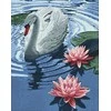 Wizardi Deimantinis paveikslas Princess Swan WD241 38*48 cm