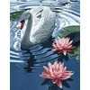 Wizardi Deimantinis paveikslas Princess Swan WD241 38*48 cm
