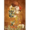Wizardi Deimantinis paveikslas Privacy WD166 27*38 cm