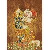 Wizardi Deimantinis paveikslas Privacy WD166 27*38 cm