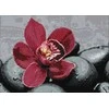 Nuotraukų rėmelis Wizardi Deimantinis paveikslas Royal Orchid WD036 38*27 cm