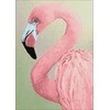 Wizardi Deimantinis paveikslas Rožinė Flamingo WD232 27*38 cm