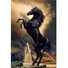 Wizardi Deimantinis paveikslas Strong Horse WD2391