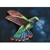 Wizardi Deimantinis paveikslas Tropic Bird WD058 38*27 cm