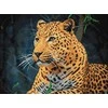 Wizardi Beldizart Leopardas 40*30 WD3036 (D)