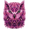 Wizardi Tapybos pagal skaičius rinkinys: P002 Owl (polygon style) 40*50