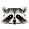 Wizardi Tapybos pagal skaičius rinkinys: P006 Raccoon (polygon style) 40*50