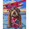 Wizardi Tapybos Pagal Skaičius Rinkinys - Pilot 40x50 cm H064