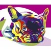 Wizardi Tapybos pagal skaičius rinkinys: French Bulldog 16.5x13 cm MINI017