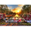 Wooden city Medinė dėlionė „Amsterdamo dviračiai“ 300 detalių, unikalios formos L
