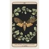 Andrews Mcmeel Publishing Mcmeel Publishing Woodland Wardens Oracle Kortos Andrews