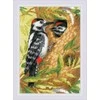 Woodpecker siuvinėjimo rinkinys iš RIOLIS Nr.: 1851
