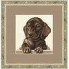 Zolotoe Runo Dachshund S/NL041
