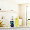 Energetinio gėrimo skonio SodaStream sirupas, 440 ml