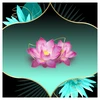 Discreet Protective Waterlily Plus Higieniniai Įklotai, 52 vnt.