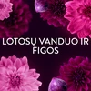 LENOR Audinių minkštiklis "Diamond Figs &amp; Lotus Flower" 2x987 ml (94 skalbimai)