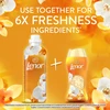 LENOR audinių minkštiklis Gold Orchid &amp; Vanilla 2 x 987 ml (94 Skalbimai)