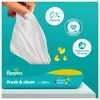 Pampers Fresh Clean Plastic Free Servetėlės Kūdikiams, 12 Pakuotė, 624 Servetėlės