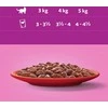 WHISKAS (40x85g) Classic Meals Drėgnas Maistas Suaugusiems Katėms Su Padažu (jautiena, vištiena, ėriena, paukštiena)