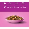 Whiskas Junior sausas ėdalas kačiukams su vištiena 14kg