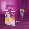 Whiskas Junior sausas ėdalas kačiukams su vištiena 14kg