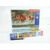 Dėlionė Castorland Puzzle 300 pcs. Cascade Run