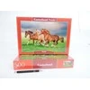 Castorland dėlionė Horses in Spring Rush 500 det
