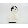 Smily Play Cat Plush