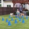 Aosom Agility rinkinys, 80x22.5x30 cm, mėlynas, plastikas