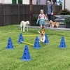Aosom Agility rinkinys šunims, 80x22.5x30 cm, mėlynas, plastikas