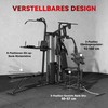 Aosom Daugiafunkcinė treniruočių stotis 250x183x213 cm juoda, plienas