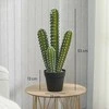 Aosom Dirbtinis augalas, Kaktusas, 13x53 cm, Žalia, Plastikas