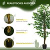Aosom Dirbtinis fikusas 150 cm žalias, plastikas