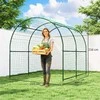 Aosom Grotelės 210x250x216 cm Žalios, metalas