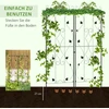 Aosom Trellis komplektas 50x181 cm Juodas plienas