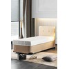 Kalune Design Čiužinys Basic 100x200 cm Single Size Firm Mattress